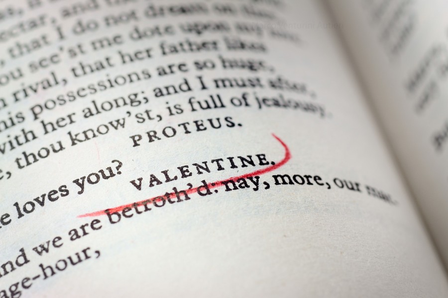 Shakespeare's Valentine