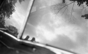 Tree and sky reflected in a classica car's windscreen, photographed in Amsterdam. Delta 3200