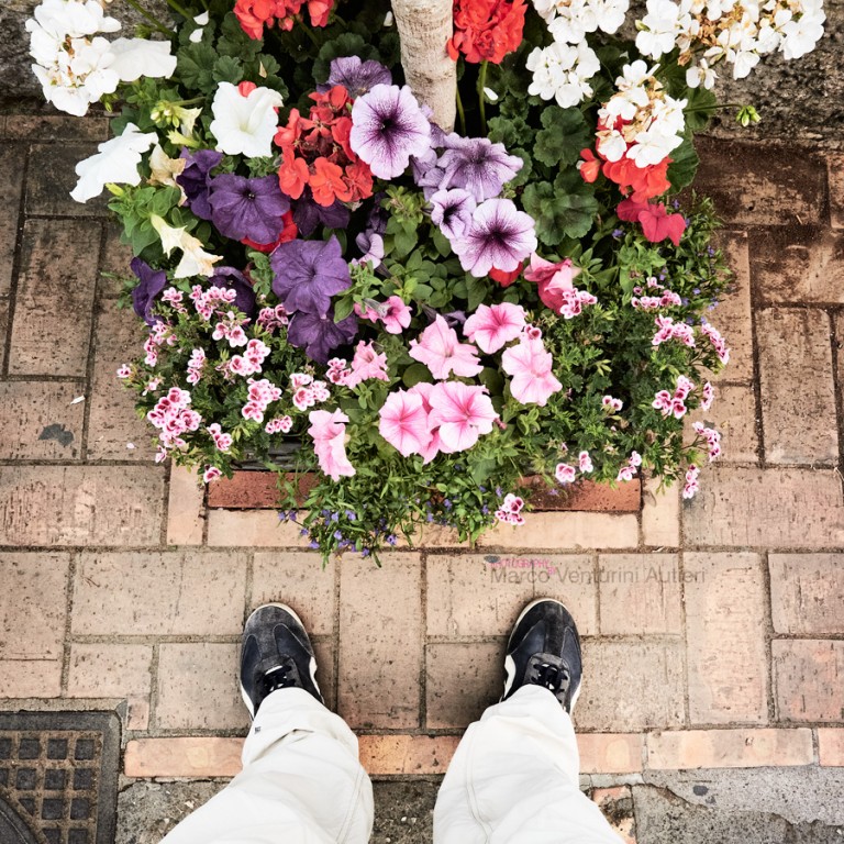 You cannot recognise Capri in this picture (neither can you recognise me!) , yet only in Capri you can so easily find such pretty flowerbeds ready for being photographed